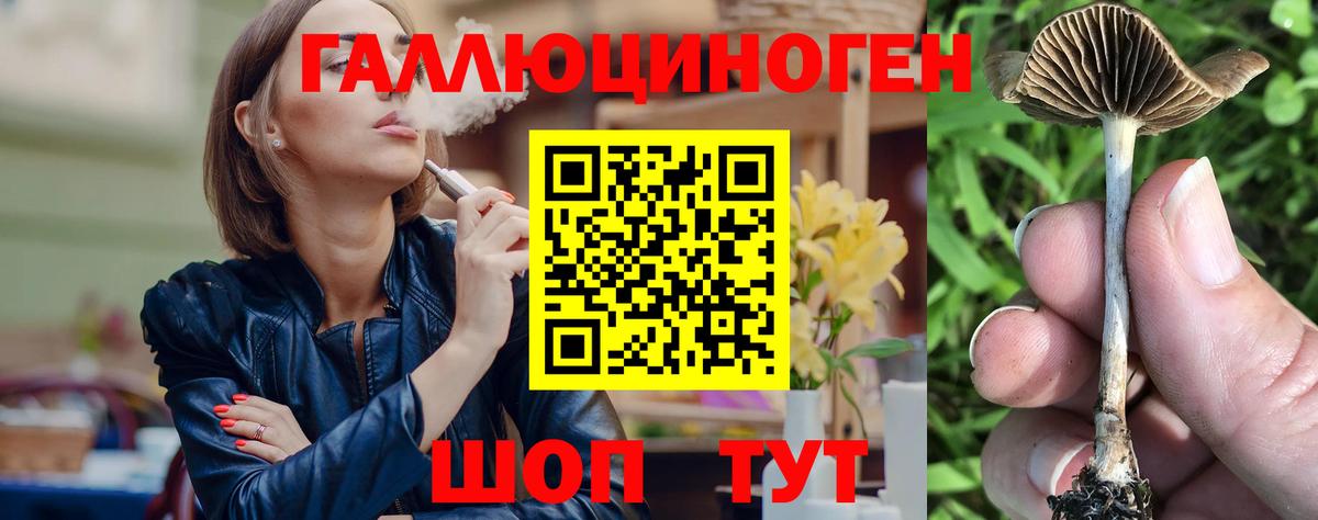 Галлюциногенные грибы Psilocybe  Псилоцибиновые грибы мицелий  Вход с VPN  Кострома 